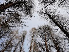 -同里国家湿地公园