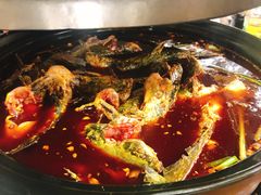 -金海椒罐罐鲢鱼(东方桂苑店)