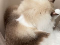 -Oh My Dog宠物沙龙(伊珊娜皮毛护理店)