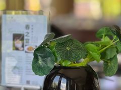 -北京云瑧金陵莲花酒店·莲·川小馆