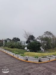 -小蜜蜂农场(凯德七宝购物广场店)