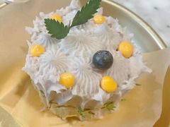 -野草莓自由市场