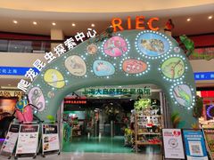 -上海大自然野生昆虫馆(东方明珠·爬宠昆虫探索中心)