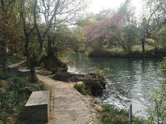 -花溪公园