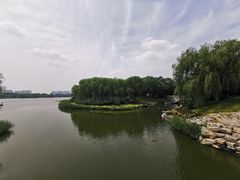 -大兴滨河森林公园