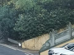 -南京市江宁方山