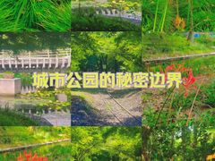 -上海共青森林公园