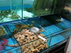 水产区-前王院•巧克力海鲜市集餐厅(万平口店)