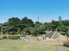 -顺峰山公园