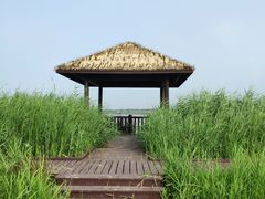 -西青郊野公园