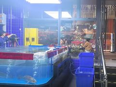 -明本湛江鸡•海鲜小厨(陈家祠店)