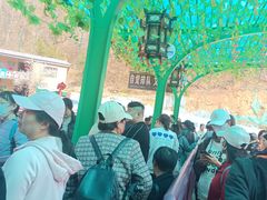 -栾川竹海野生动物园
