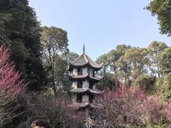 -成都杜甫草堂博物馆