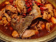 炝锅清江鱼-涿派·炝锅鱼(涿州店)