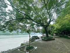 -严子陵钓台(富春江小三峡)