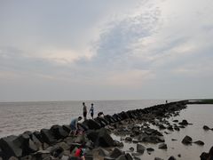 -南汇嘴观海公园