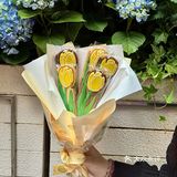 上海近期的漂亮小甜甜…郁金香🎂🌷……