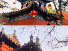 -洛阳白马寺