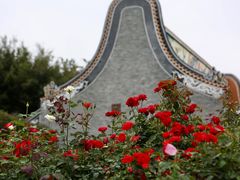 -宝墨园景区