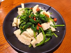 面筋菠菜-望京一号(菜户营店)