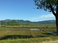 android_upload_pic-大连冰峪旅游度假区