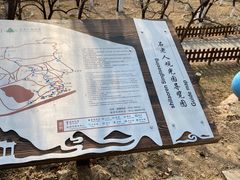 -石老人观光园