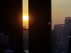 -蝶园·装修中(BFC外滩金融中心店)