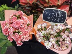 -豆豆花艺(新光天地店)