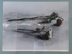 -三亚亚龙湾金棕榈度假酒店