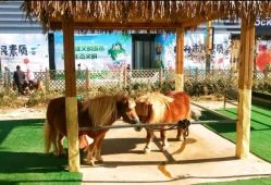 -萌宠亲子动物乐园(槐房万达店)