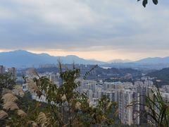 -福道
