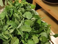 西洋菜-烹然四季椰子鸡火锅(团结湖总店)