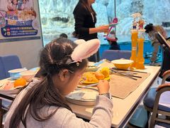 -帝企鹅自助餐厅•儿童岛•真企鹅(长隆企鹅酒店)