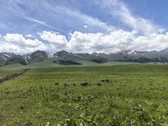 -新疆那拉提国家旅游度假区