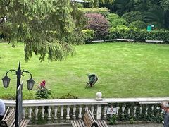 -J Create城市露营咖啡·简餐·宠物(上海动物园店)