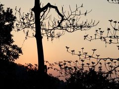 -火炉山森林公园