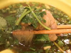 牛筋粉丝汤-张记牛肉面馆(天津路店)