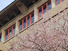 -武汉大学-樱园