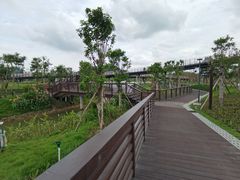 -王借岗森林公园