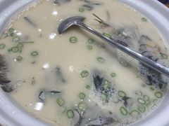 -饭怕鱼(阳光100店)
