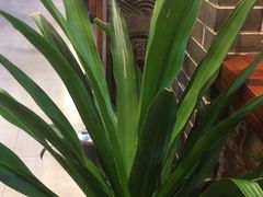 -盛世川王•幸福里(长虹店)