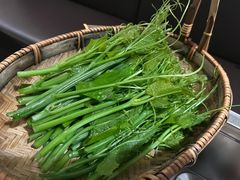 南瓜尖-蘑界·野生菌火锅(深业上城店)