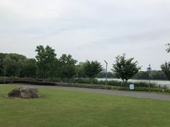 -昆山城市生态森林公园