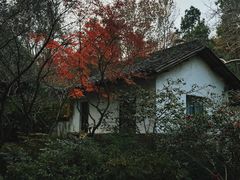 -杭州植物园