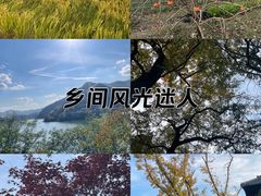 -四明山国家森林公园