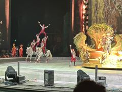 -广州长隆国际大马戏