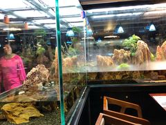 -泰谷酒店·太古码头闽菜自助餐厅