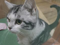 -藦茜花园宠物主题亲子互动体验馆(国顺东路店)