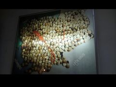 -吐斯廉屠杀博物馆