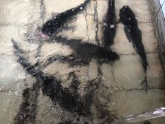 -渭塘酒家(生态园店)